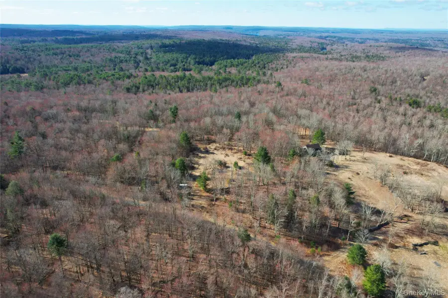 TBD Hilltop Road, Monticello, NY 12701 - #3