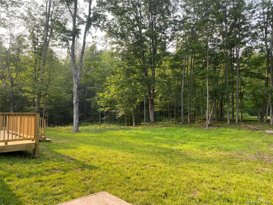 159 Park Lane, Tannersville, NY 12485 - #3