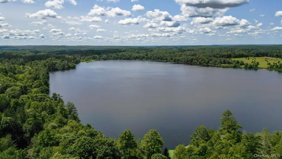 Lot 33 Black Lake Road, White Lake, NY 12786 - #3