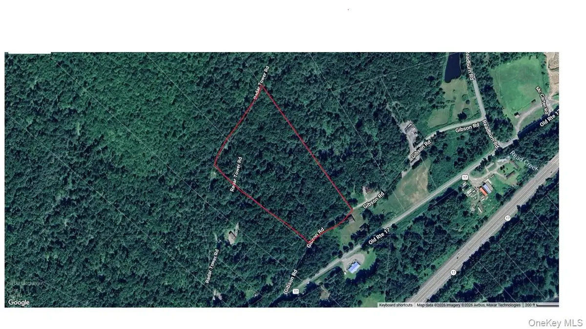 00 Gibson Road, Hancock, NY 13783 - #1