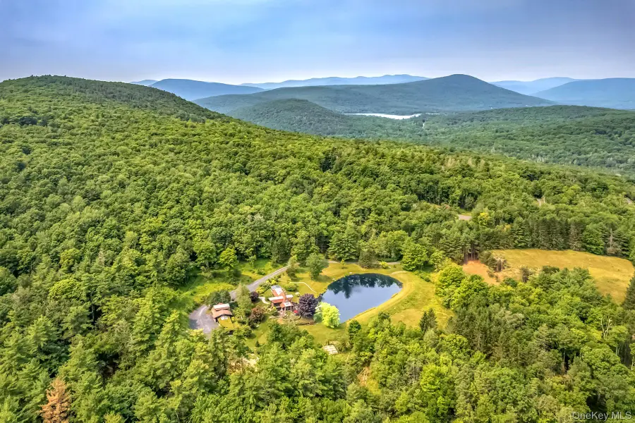 262 Macdaniel Road, Bearsville, NY 12409 - #2