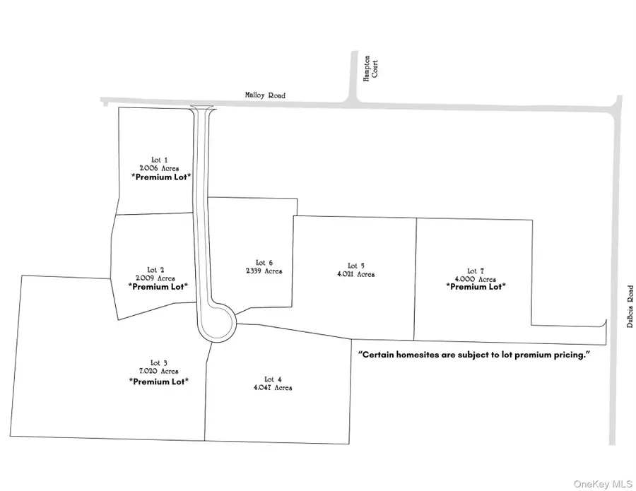 9 Harrier Ridge Drive, Wallkill, NY 12589 - #2