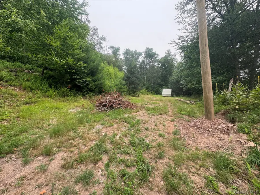 Rapp Road, Monticello, NY 12701 - #2