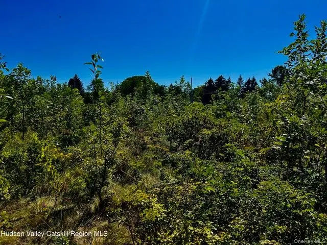 001 N Vernon Street, Athens, NY 12015 - #3