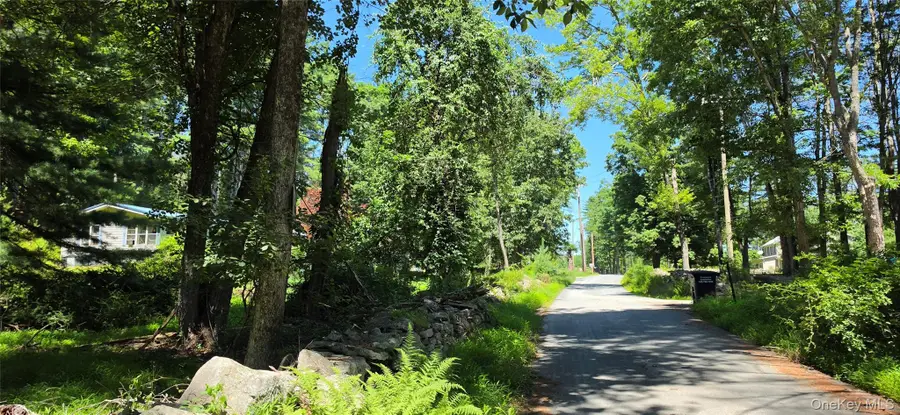 Lot # 7 Irishtown Road, Narrowsburg, NY 12764 - #2