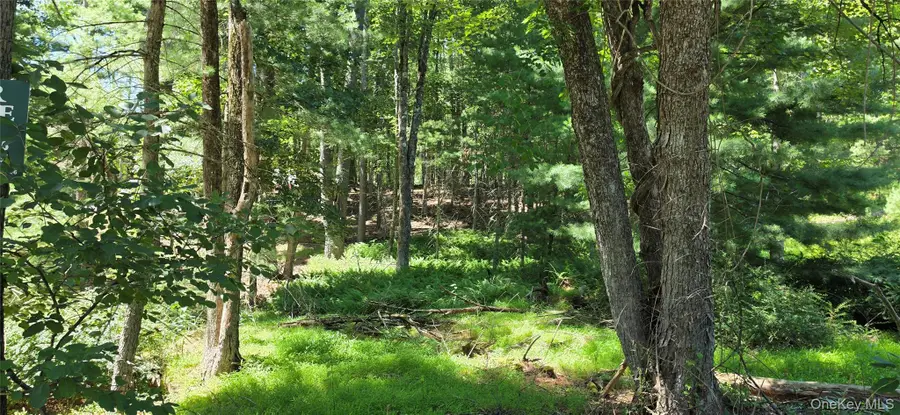 Lot # 7 Irishtown Road, Narrowsburg, NY 12764 - #3