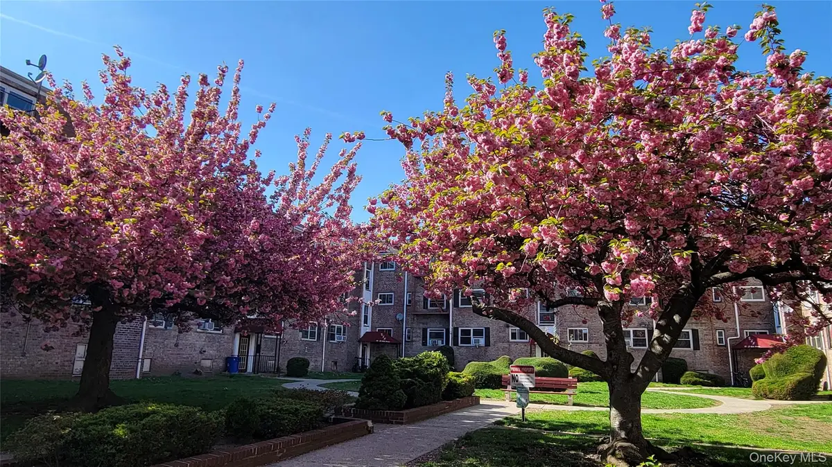 65-30 Grand Central Parkway #1, Forest Hills, NY 11375 - #1