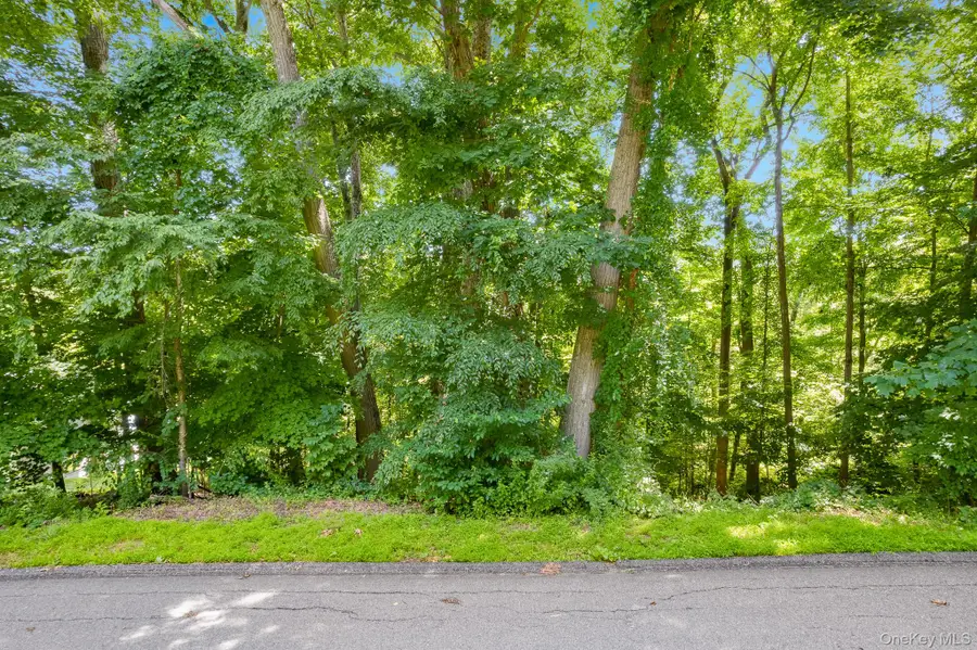 Lot 10 Shamrock Drive, Putnam Valley, NY 10579 - #2