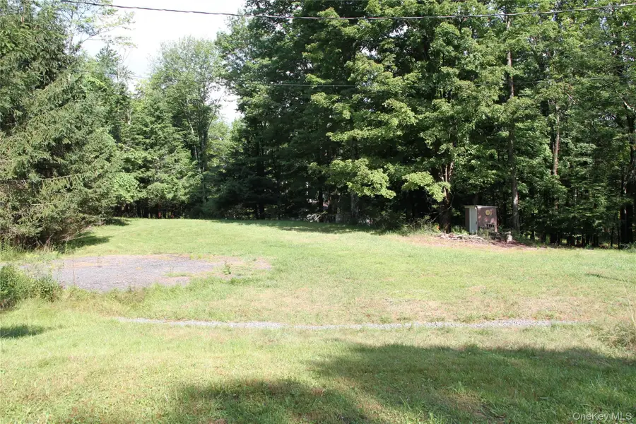 137 Old Turnpike Road, Woodridge, NY 12789 - #3