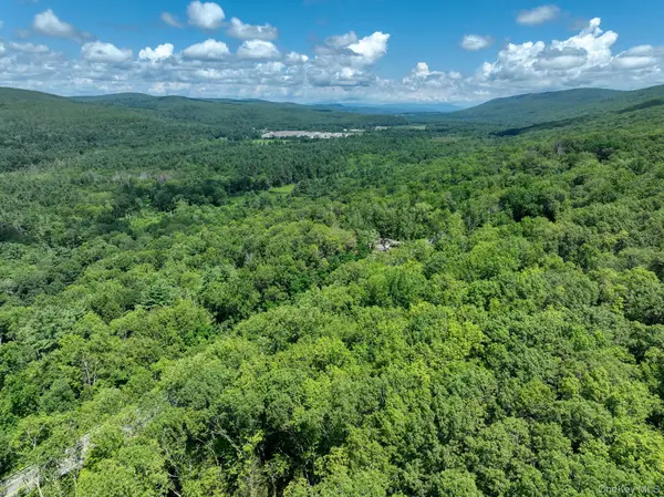 Mamakating Road, Wurtsboro, NY 12790