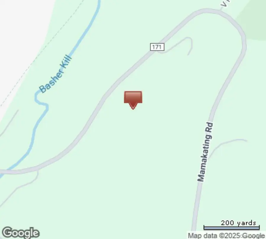 Mamakating Road, Wurtsboro, NY 12790 - #2