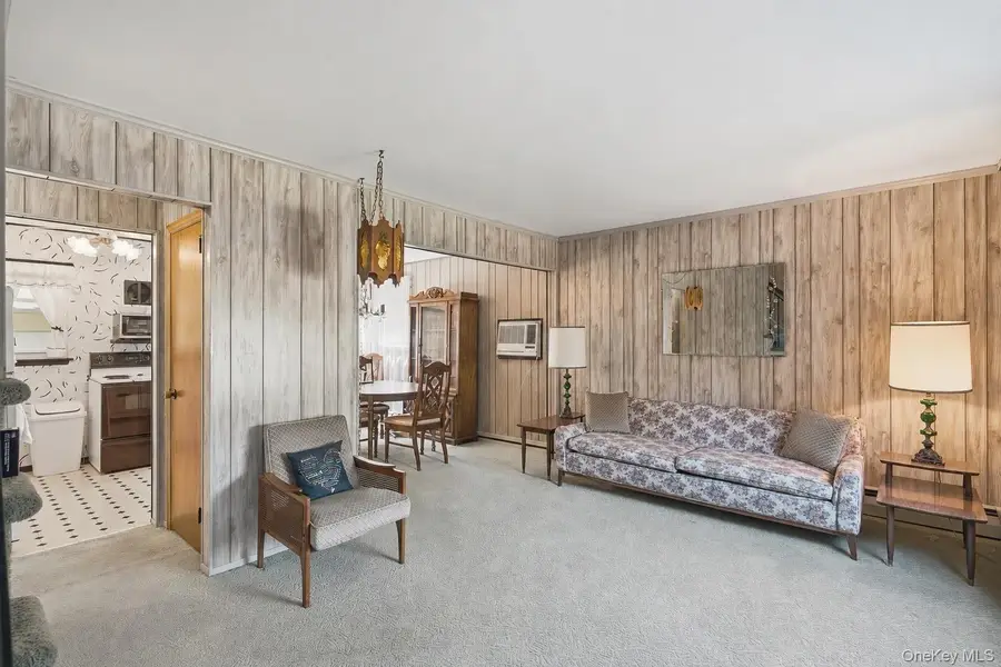 695 Eileen Court, Franklin Square, NY 11010 - #2