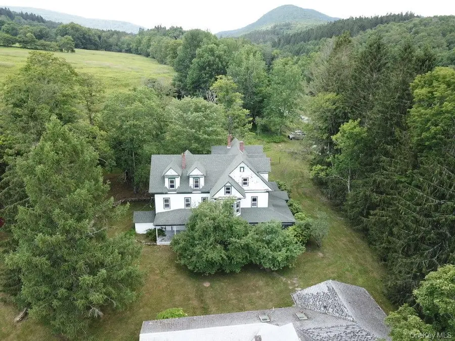 109 Mary Smith Hill Road, Livingston Manor, NY 12758 - #2