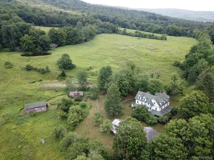 109 Mary Smith Hill Road, Livingston Manor, NY 12758 - #3