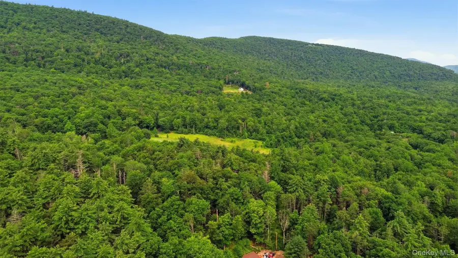 High Point Mountain Road, West Shokan, NY 12484 - #3
