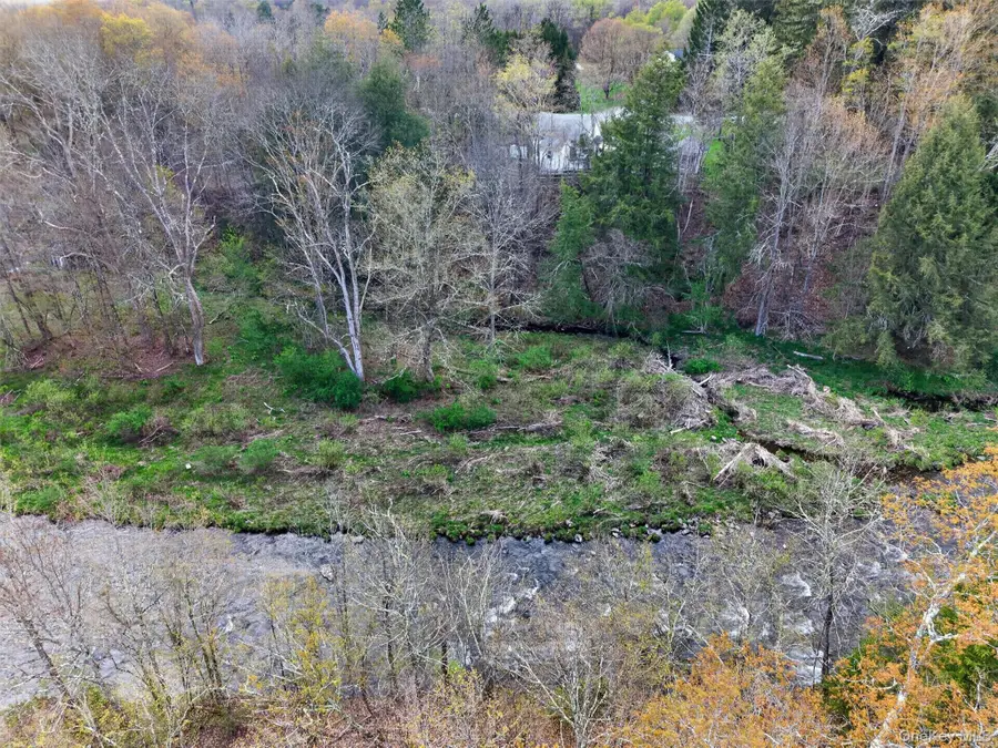 674 Debruce Road, Livingston Manor, NY 12758 - #3