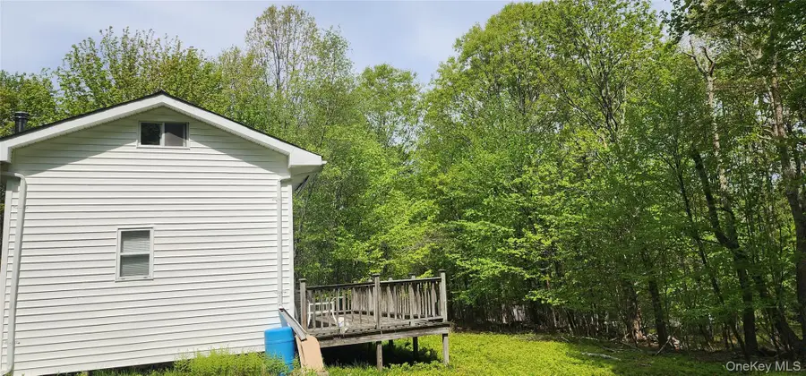 1433 County Route 56 Lane, Fallsburg, NY 12779 - #2