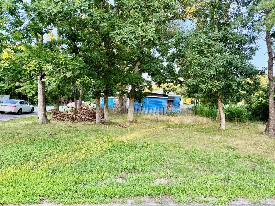 48 Cocoanut Street, Central Islip, NY 11722 - #2