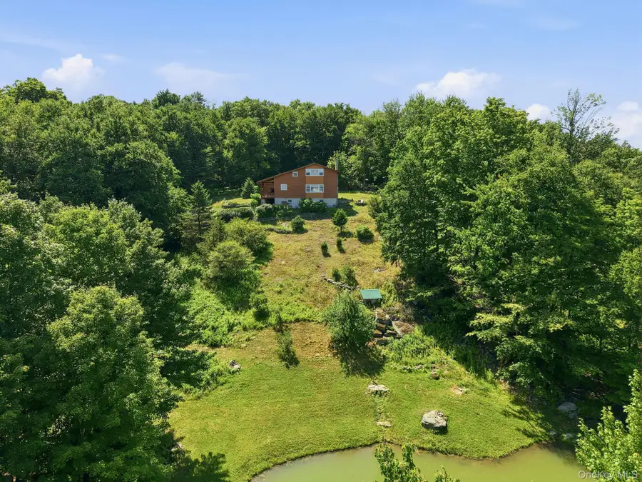 155 Messenger Road, Grahamsville, NY 12740 - #3