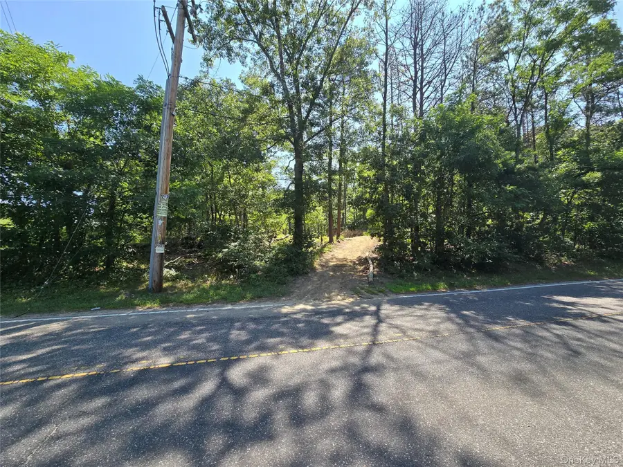 Manor Yaphank Road, Manorville, NY 11949 - #2
