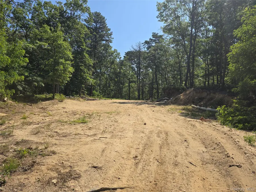 Manor Yaphank Road, Manorville, NY 11949 - #3