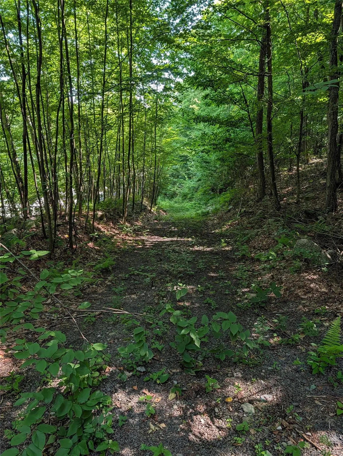 Us Highway Route 6, Port Jervis, NY 12771 - #1