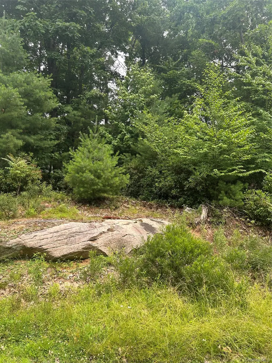 Sunset Avenue, Wawarsing, NY 12489 - #3