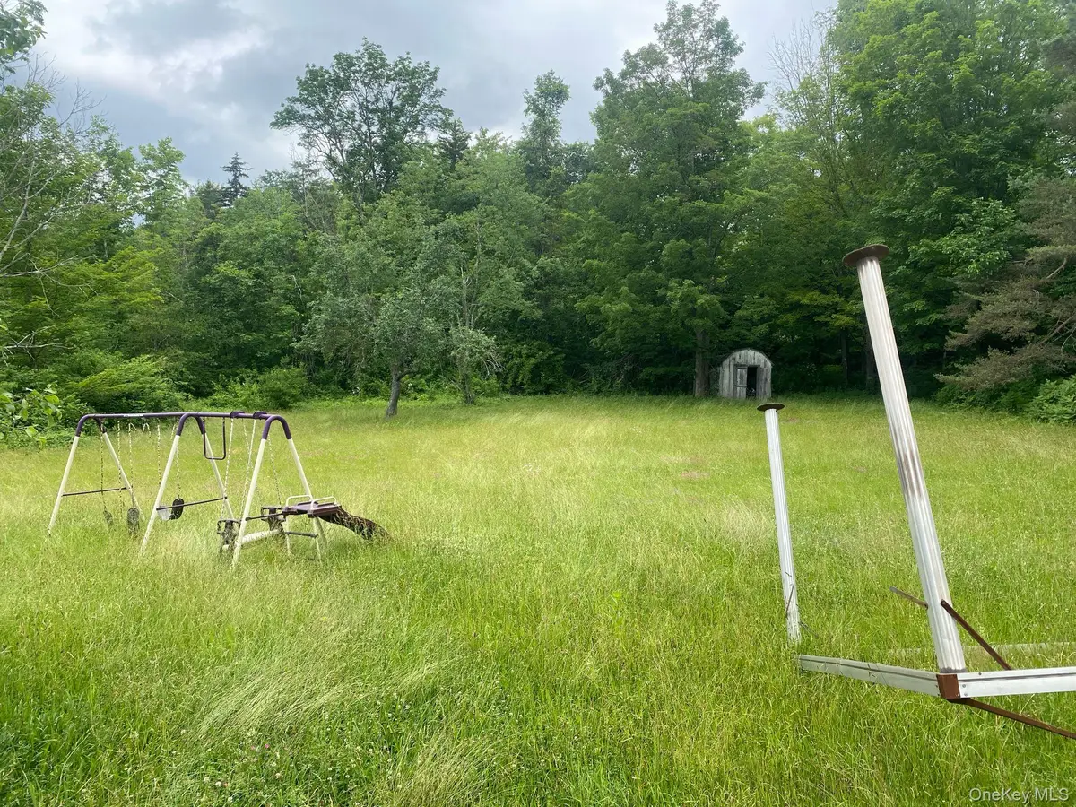 Park Lane, Tannersville, NY 12485 - #1