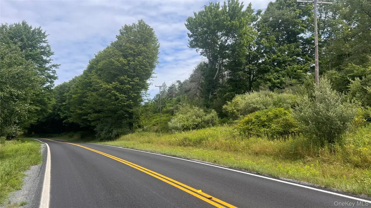 Horseshoe Lake Road, Kauneonga Lake, NY 12783 - #1