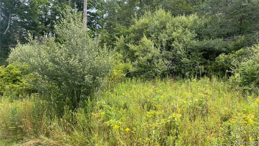 Horseshoe Lake Road, Kauneonga Lake, NY 12783 - #3
