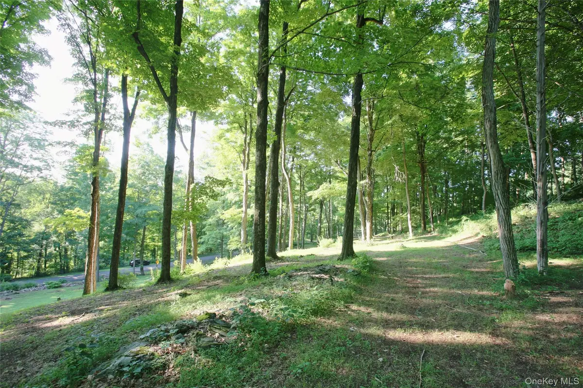 Pond Road, Rhinebeck, NY 12572 - #1
