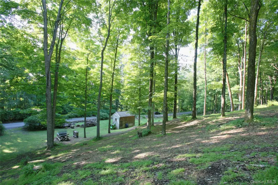 Pond Road, Rhinebeck, NY 12572 - #2