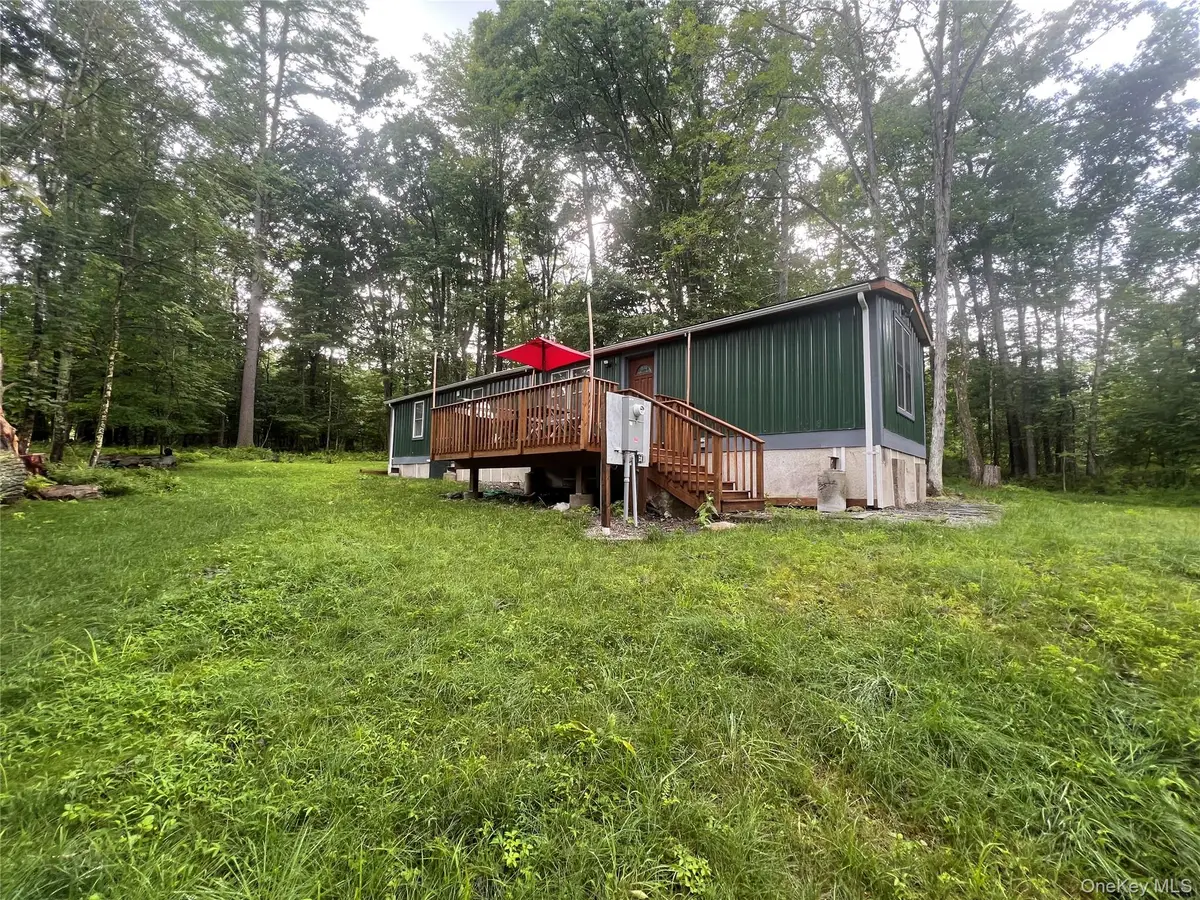 101 Lake Country Lane, Narrowsburg, NY 12764 - #1