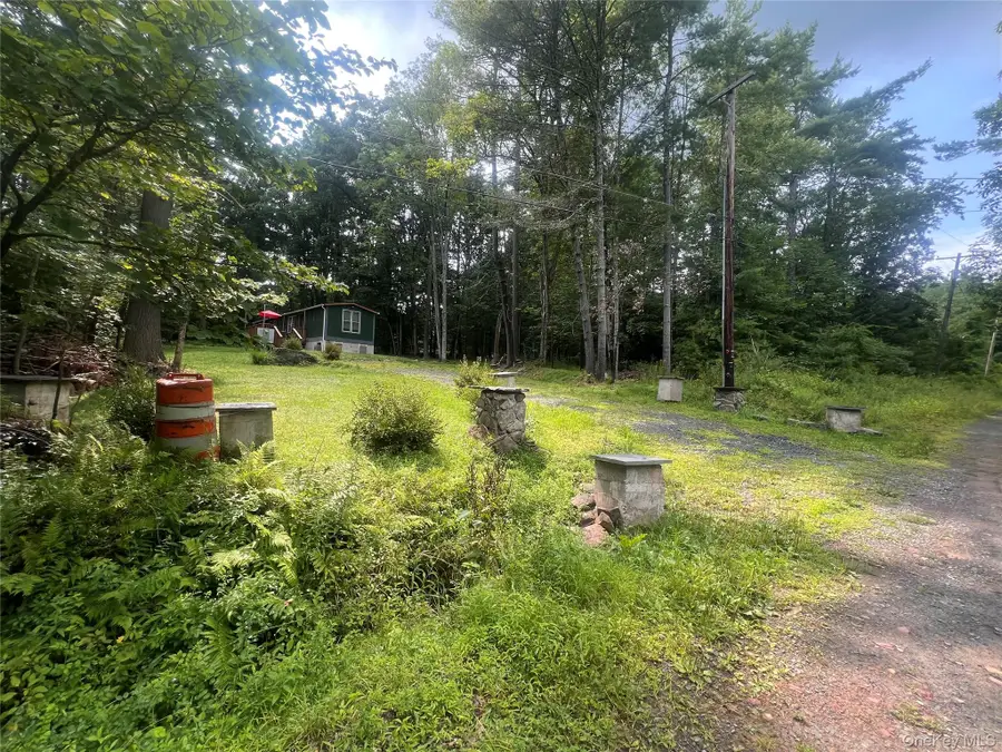 101 Lake Country Lane, Narrowsburg, NY 12764 - #2