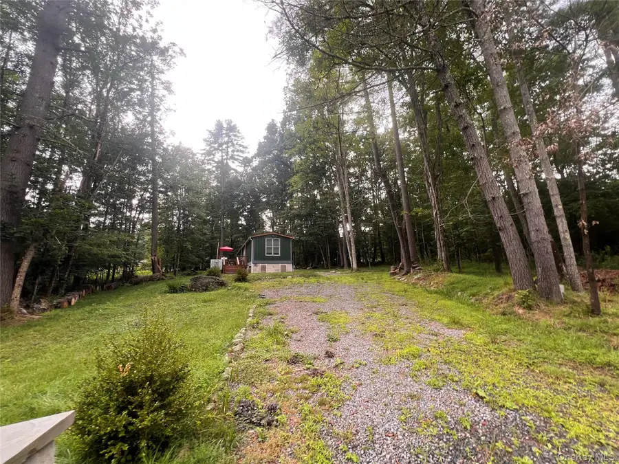 101 Lake Country Lane, Narrowsburg, NY 12764 - #3