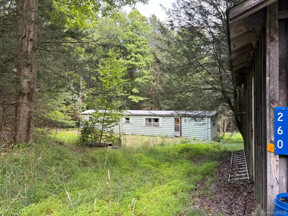 260 Schumway Road, Neversink, NY 12765 - #1