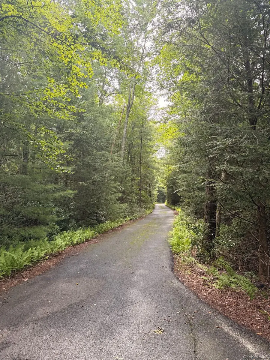 223 Spook Hole Road #N, Ellenville, NY 12428 - #2
