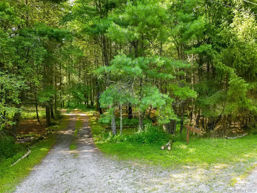 111 Deer Meadow Road, White Lake, NY 12786 - #2