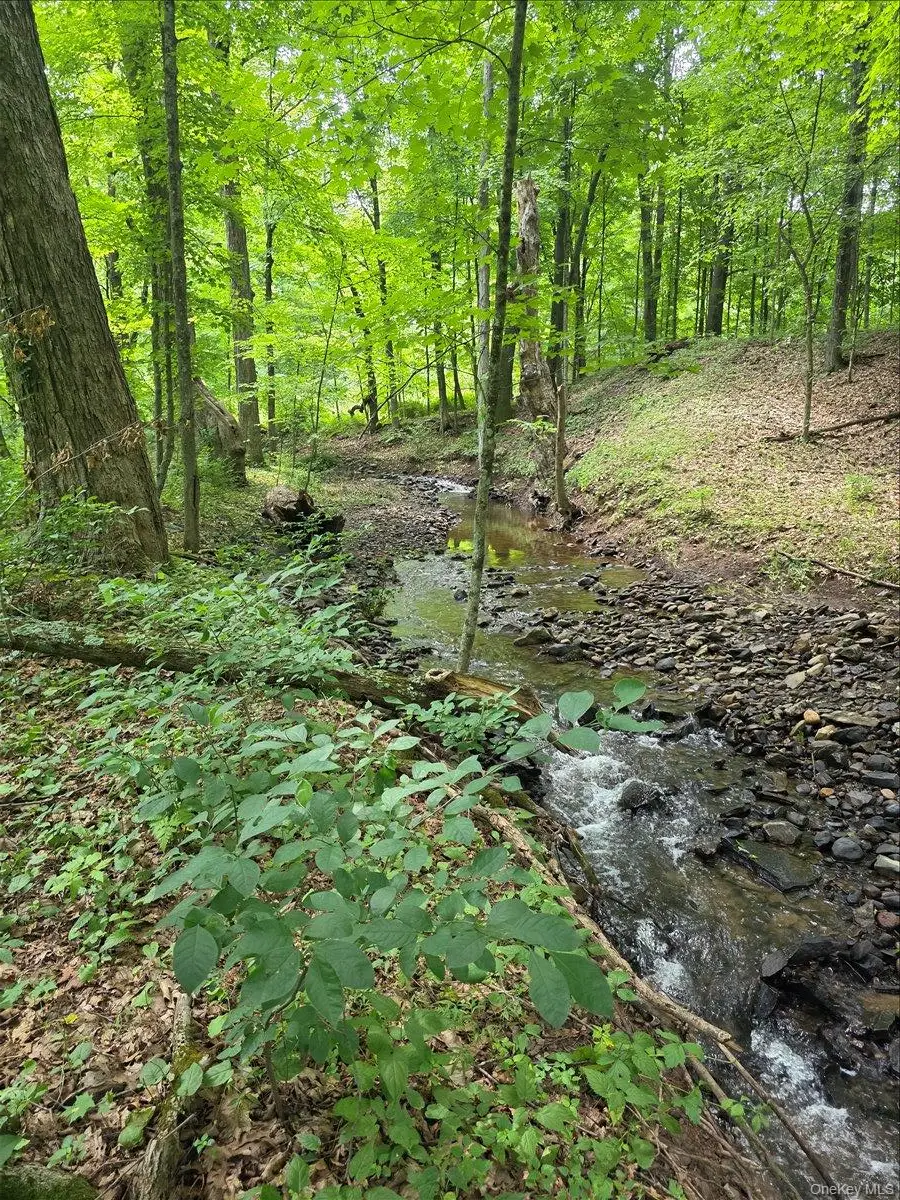 208 R Mclaren Road Extension, South Cairo, NY 12482 - #2