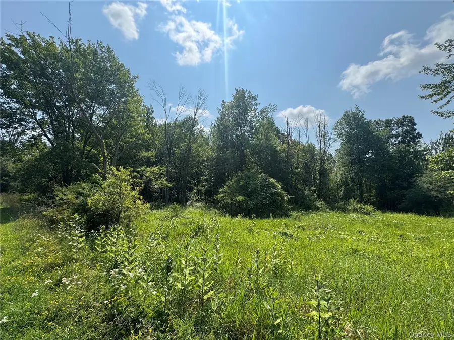 114 Highland Lake Road, Middletown, NY 10940 - #2