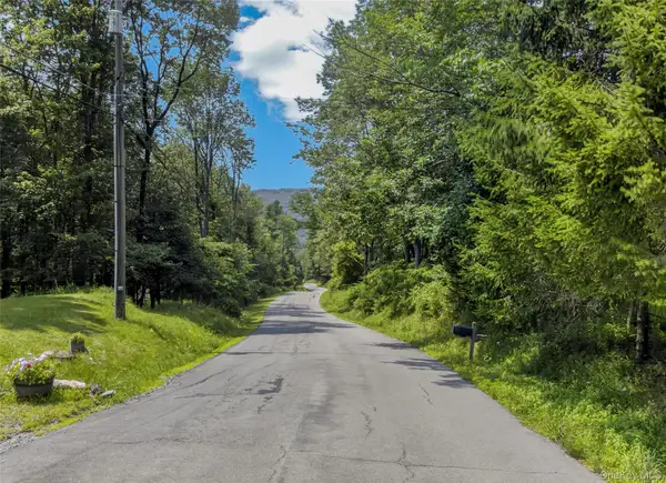 TDB White Roe Lake Road, Livingston Manor, NY 12758