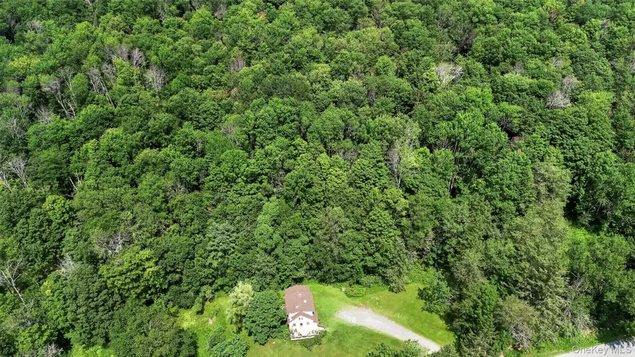 TDB White Roe Lake Road, Livingston Manor, NY 12758 - #2