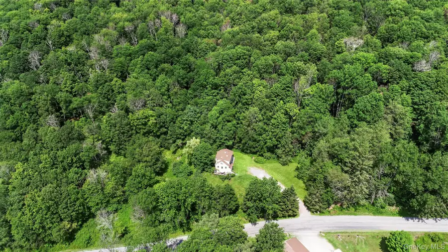 TDB White Roe Lake Road, Livingston Manor, NY 12758 - #3