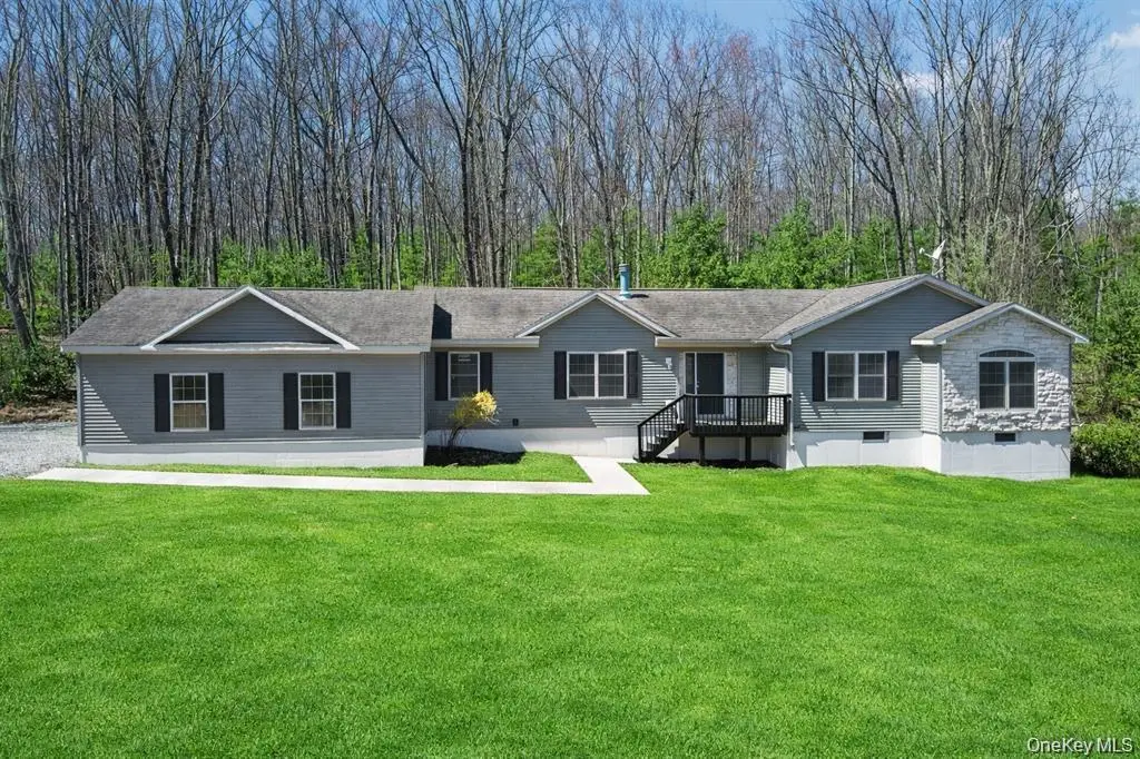 768 Forestburgh Road, Lumberland, NY 12737 - #1