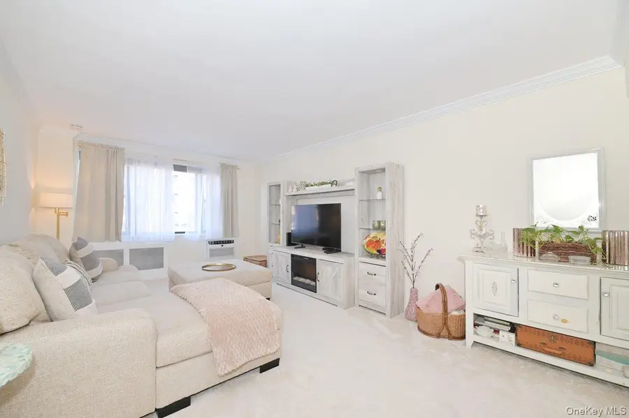 4 Birchwood Court #1O, Mineola, NY 11501 - #2