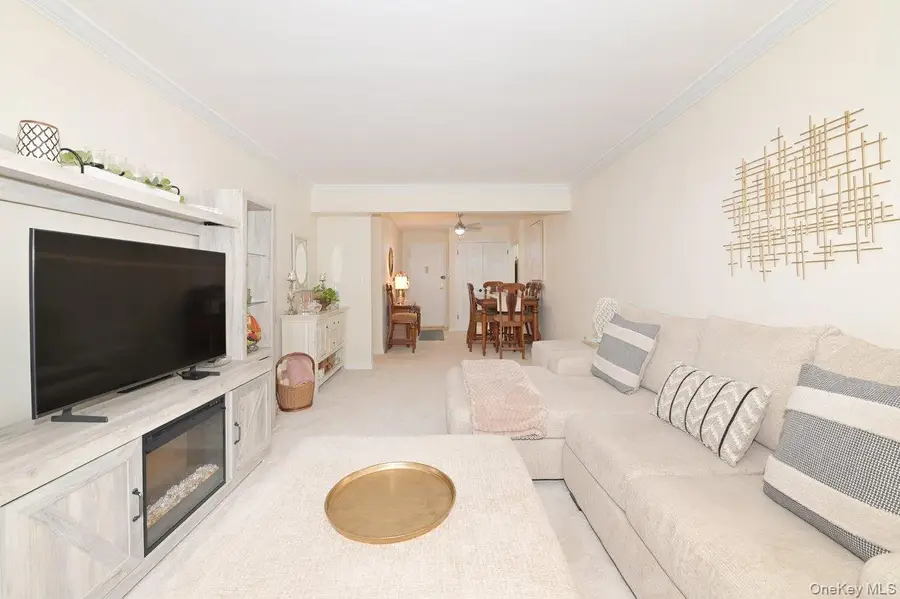 4 Birchwood Court #1O, Mineola, NY 11501 - #3