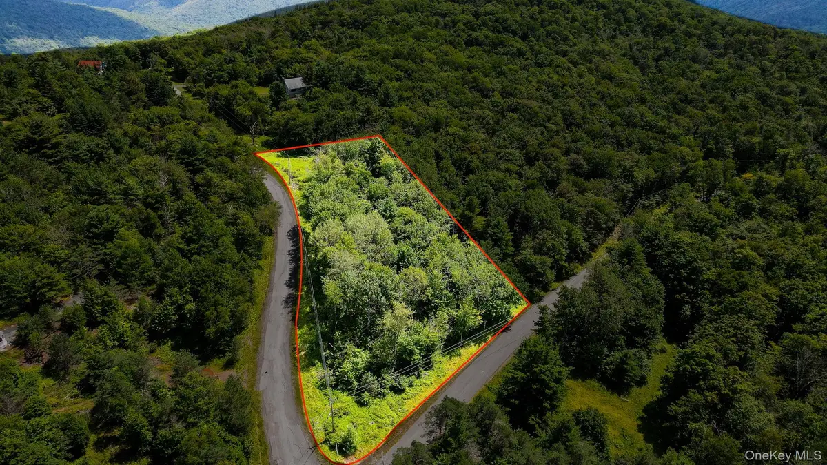 00 Red Hill Knolls Road, Grahamsville, NY 12740 - #1