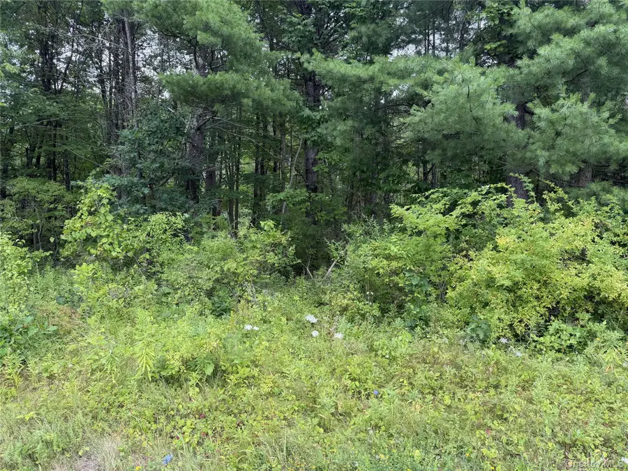 L-15 State Route 32, Greenville, NY 12083 - #2