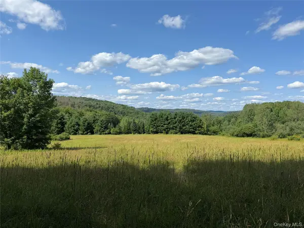 Bert Medlar Road, Hancock, NY 13783