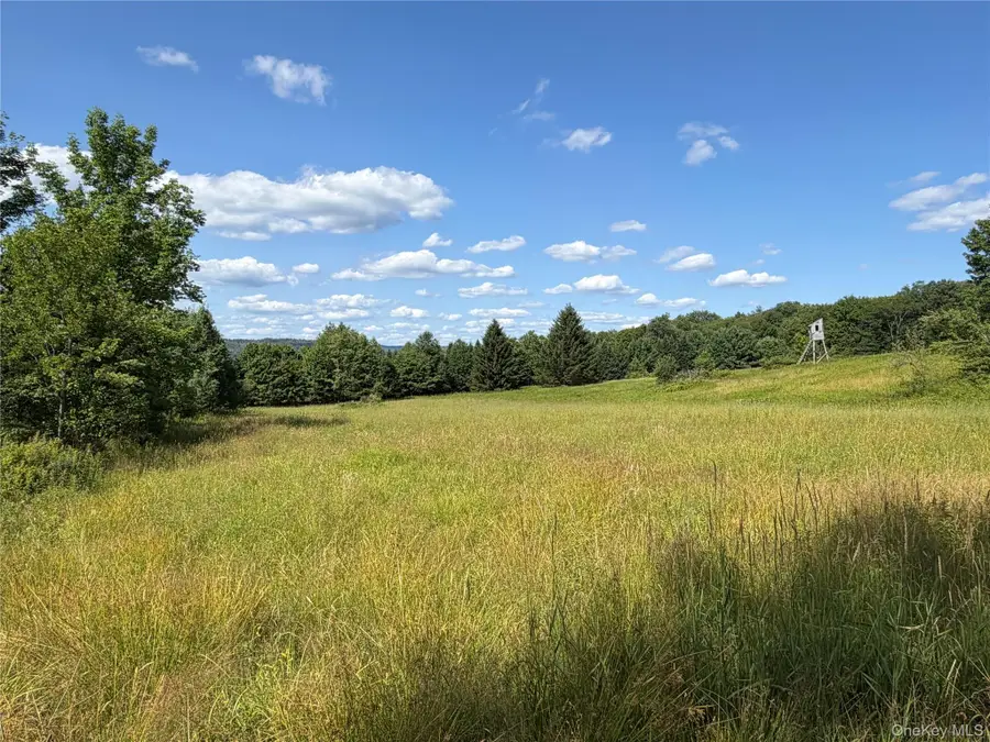 Bert Medlar Road, Hancock, NY 13783 - #3
